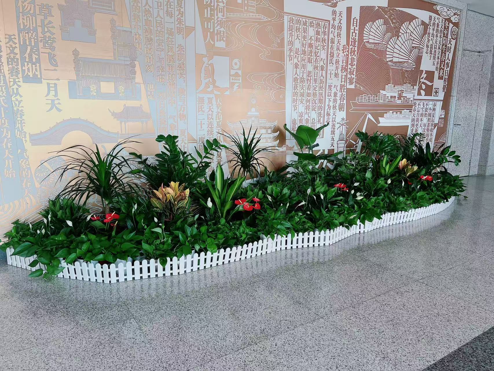 宁波余姚植物租赁哪家靠谱？这里告诉你真相！